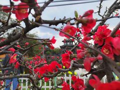 -什邡罗汉寺