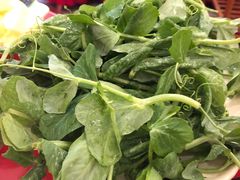 豌豆尖-正宗镇雄酸汤猪脚妙可火锅店