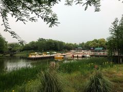 -尚贤河湿地