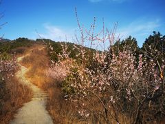 -北京西山国家森林公园