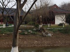 -堤角公园