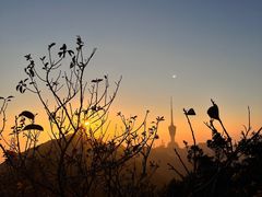 -梧桐山风景名胜区