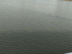 -映月湖中央公园
