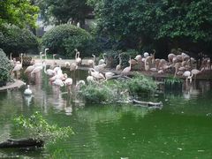 -九龙公园