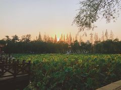 -莱西月湖公园