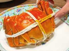 -新光酒家·河豚·海鲜·蟹料理(浦东店)