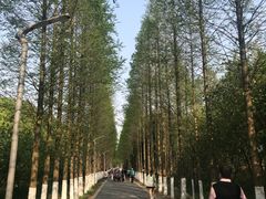 -昆山城市生态森林公园