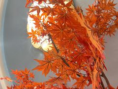 -八次方密云水库鱼粘卷子·熏鸽子·农家菜