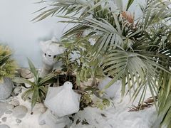 -风甜日暖·星座主题甜点(东二环泰禾店)