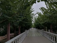 -百万葵园