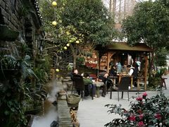 -青城甲(青城山店)