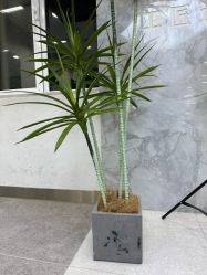 点击看大图 -工匠