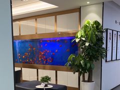 -牙博士口腔品牌连锁(杨浦店)