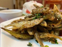 -品雅轩农家乐