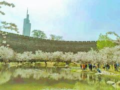 -鸡鸣寺