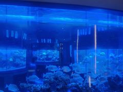 -上和臻品中国菜(花园街店)