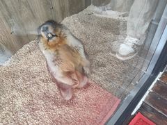 -后院犇牛主题餐厅(云岗店)