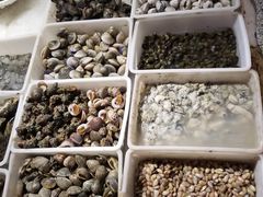 -天天渔港海鲜酒家(石浦玉泉路店)