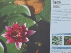 -怀来官厅水库