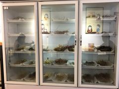 -长颈鹿的口袋钵钵鸡(市南店)