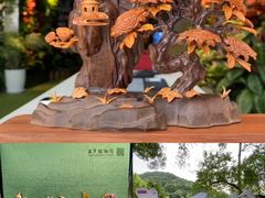 -云溪植物园