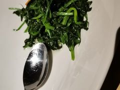 清炒豌豆尖-梧桐