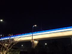 -国际港务区(地铁站)