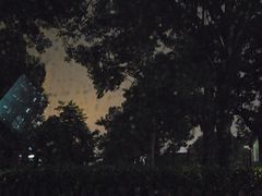 -上海德威外籍人员子女学校(浦东校区)