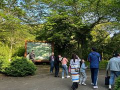 -汉拿树木园