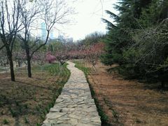 -大连富丽华大酒店