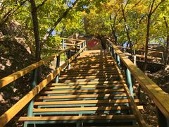 -吉林市朱雀山国家森林公园