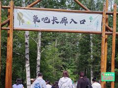 -汤旺河林海奇石景区