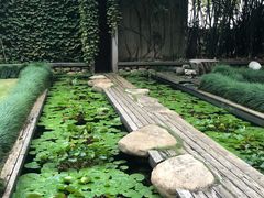-澳珀食堂