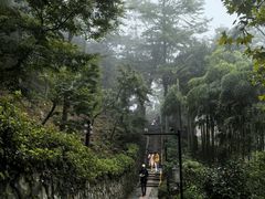 -莫干山风景区