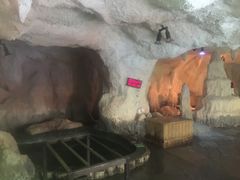 -青岛海泉湾度假区温泉