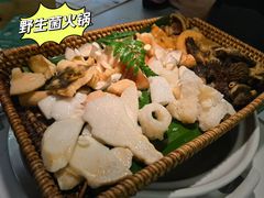 -海埂大坝