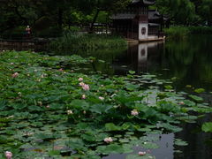 -和平公园