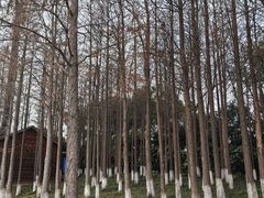 -苏州太湖湖滨国家湿地公园