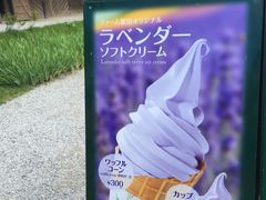 -富田农场