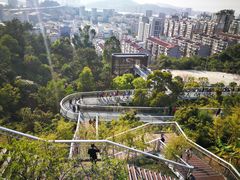 -仙岳公园