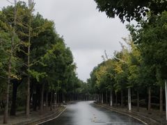 -岳阳市博物馆