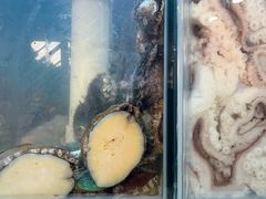 -仙螺岛海鲜自助餐厅(总店)