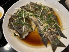 -草墩罗非鱼庄•野生菌•腊排骨(七星街上段店)