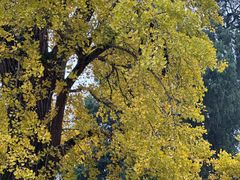 -金堂县云顶石城风景区
