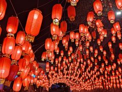 -巴倒烫陆派火锅山庄(南山总店)