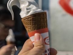 -富豪雪糕车流动点(尖沙咀店)