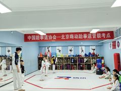 -嗨动跆拳道体能馆(菜百店)