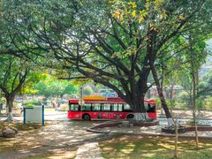 -广东外语外贸大学(白云山校区)