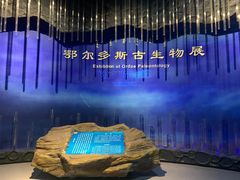 -鄂尔多斯博物馆