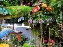 -正佳雨林生态植物园